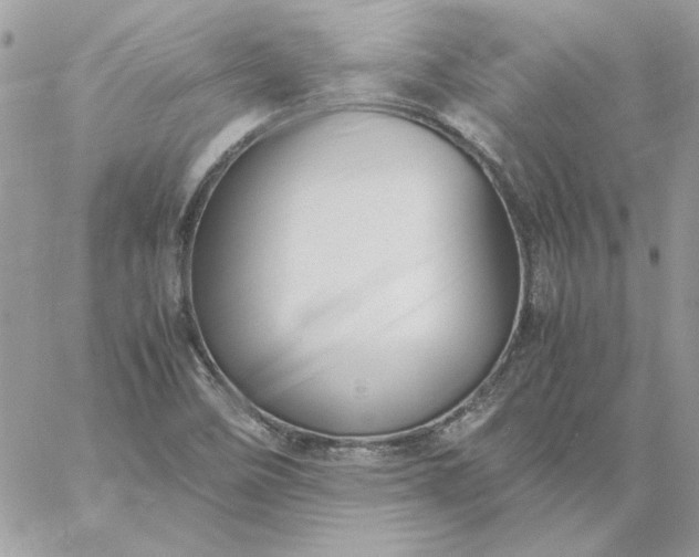 X0000059091458200510172042