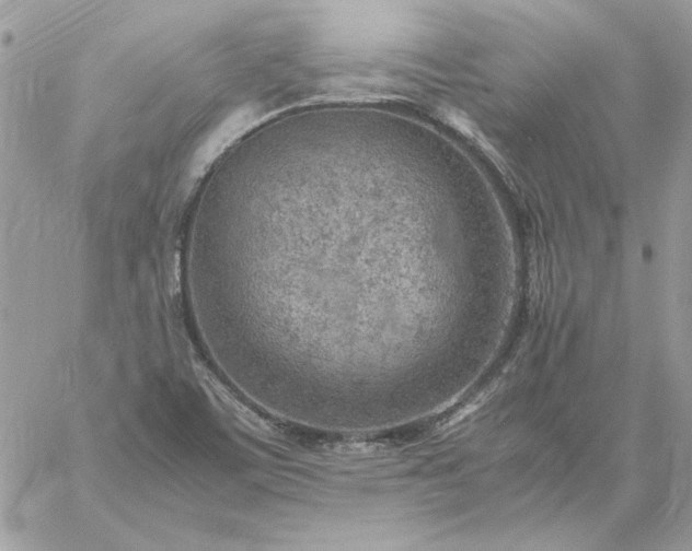 X0000059091459200510172042