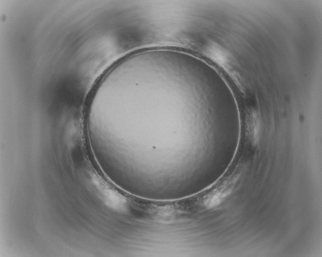 X0000059091460200510172042