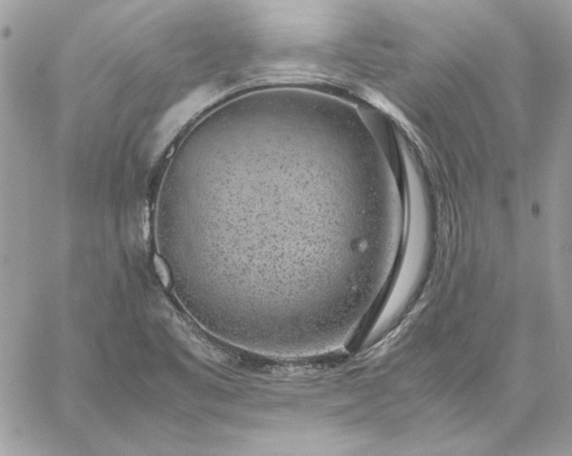 X0000059091461200510172042