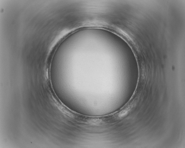 X0000059091462200510172042