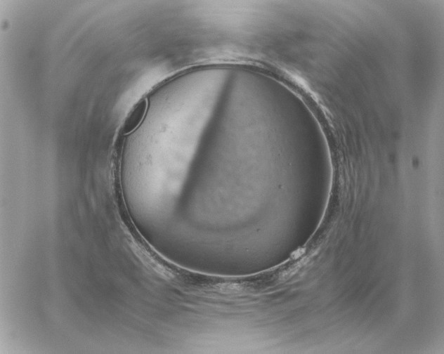 X0000059091463200510172042