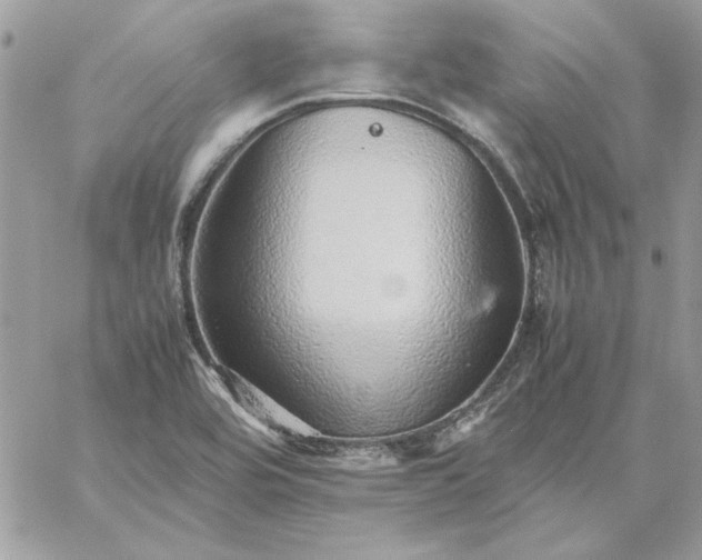 X0000059091464200510172042