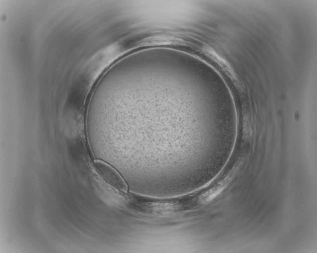 X0000059091465200510172042