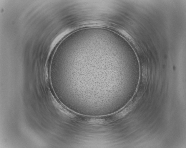 X0000059091466200510172042