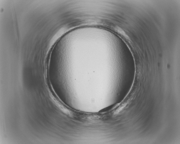 X0000059091467200510172042