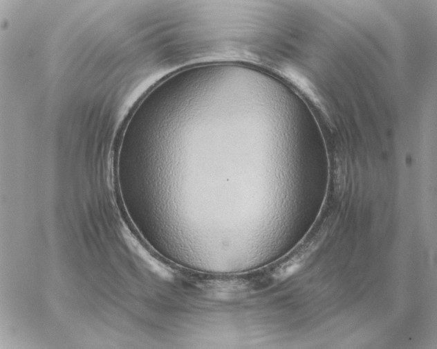 X0000059091468200510172042