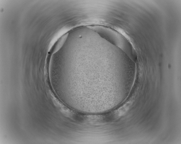 X0000059091469200510172042