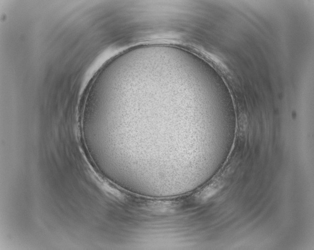 X0000059091470200510172042