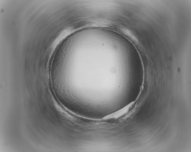 X0000059091471200510172042