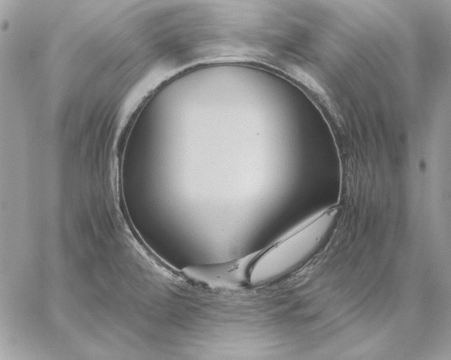 X0000059091472200510172042