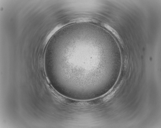 X0000059091473200510172042