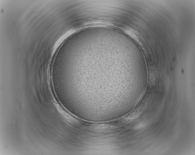 X0000059091474200510172042