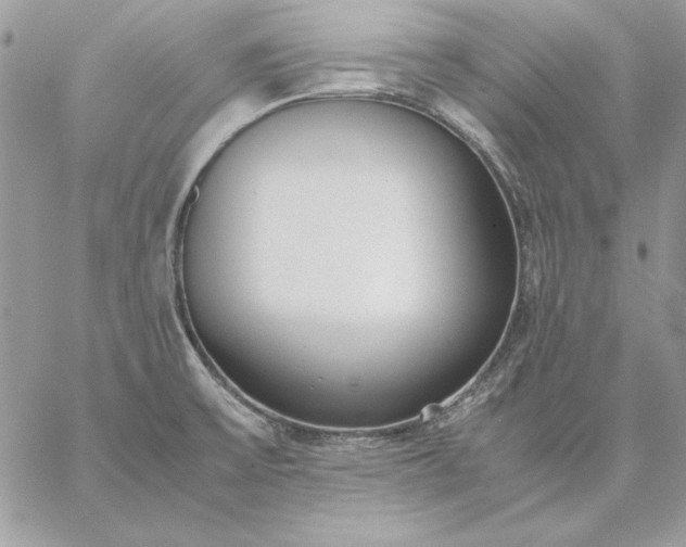 X0000059091475200510172042