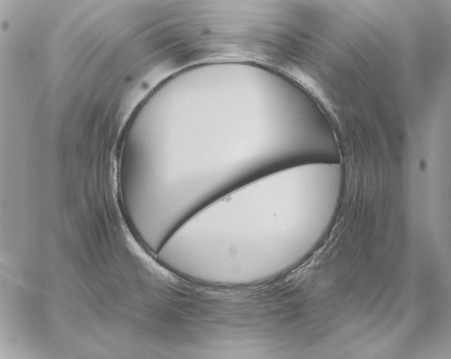 X0000059091476200510172042