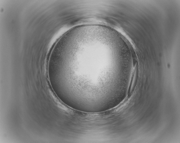 X0000059091477200510172042