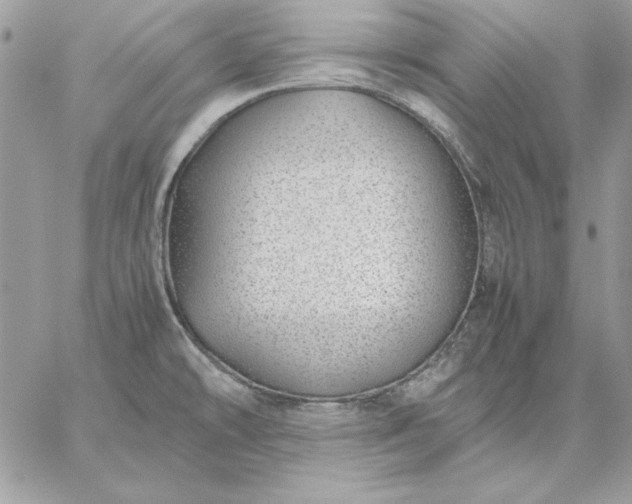 X0000059091478200510172042