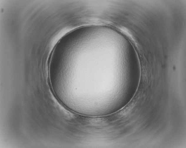 X0000059091479200510172042