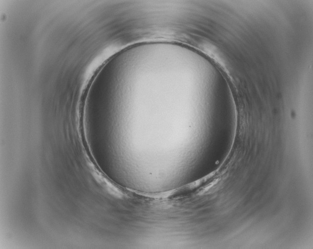 X0000059091480200510172042