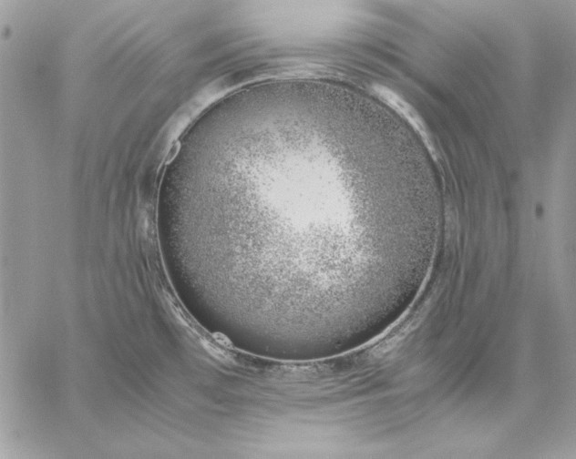 X0000059091481200510172042