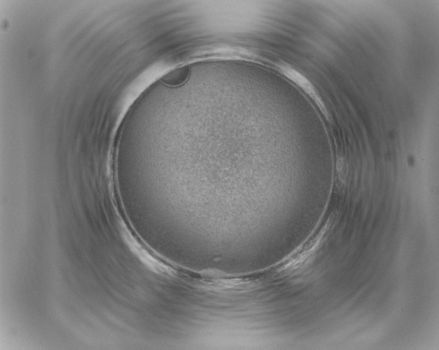 X0000059091482200510172042