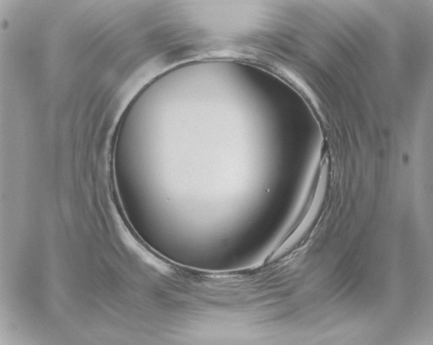 X0000059091483200510172042