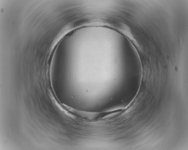 X0000059091484200510172042