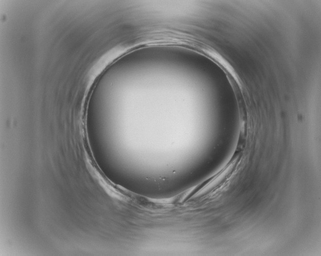 X0000059091485200510172042