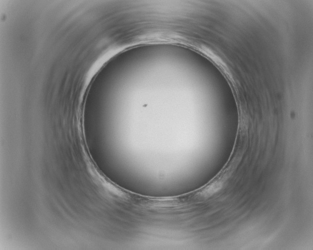 X0000059091486200510172042