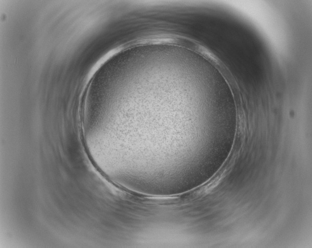 X0000059091487200510172042