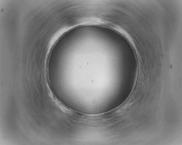 X0000059091488200510172042