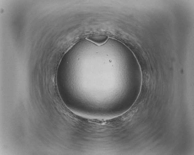 X0000059091489200510172041