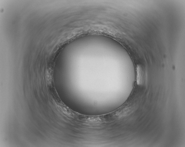 X0000059091491200510172041