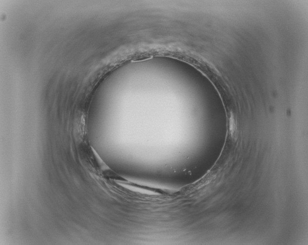 X0000059091492200510172041