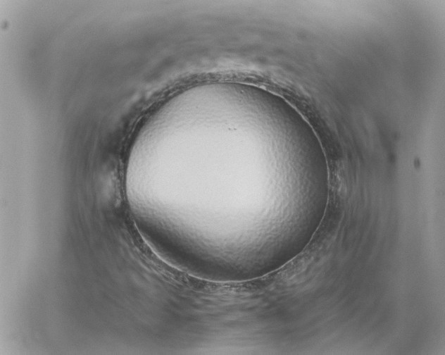 X0000059091493200510172041