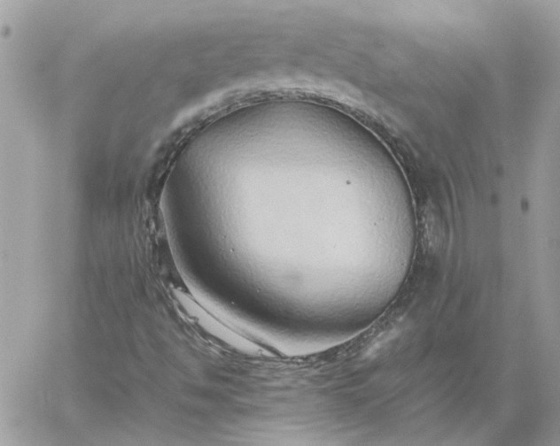 X0000059091494200510172041