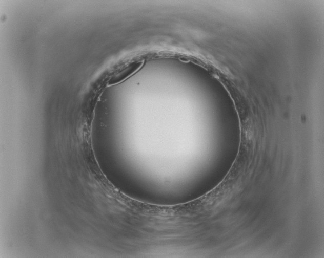 X0000059091495200510172041