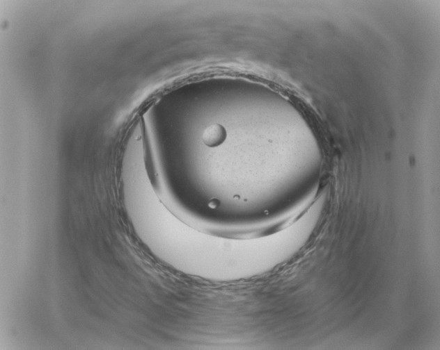 X0000059091496200510172041