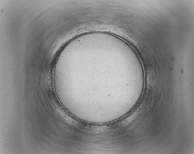 X0000059091498200510172041