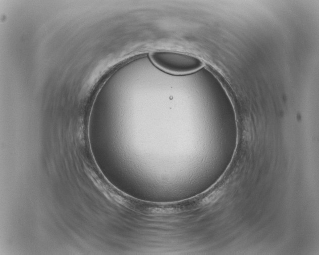 X0000059091499200510172041