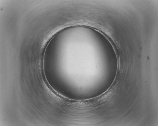 X0000059091500200510172041