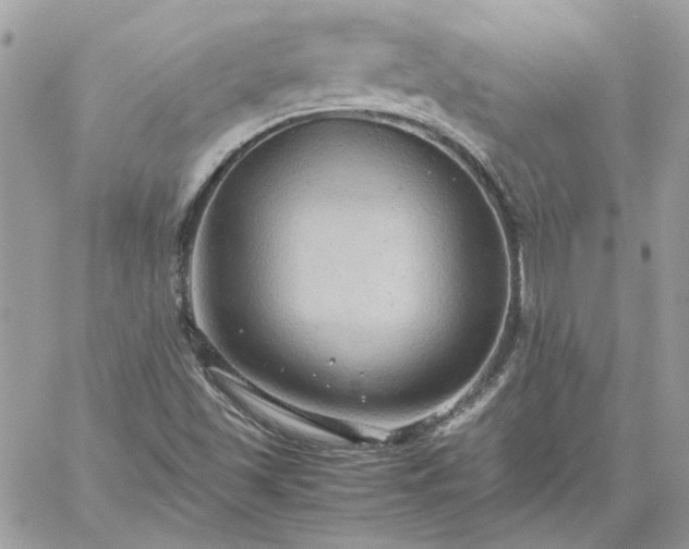 X0000059091501200510172041