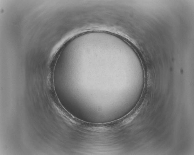 X0000059091502200510172041