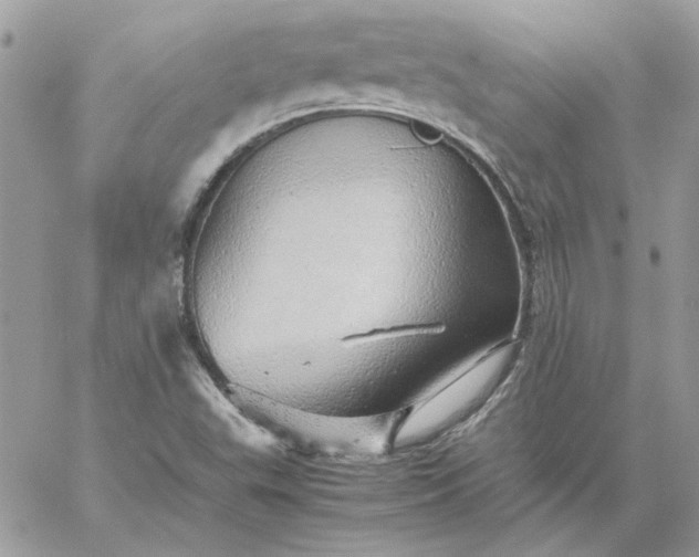 X0000059091503200510172041