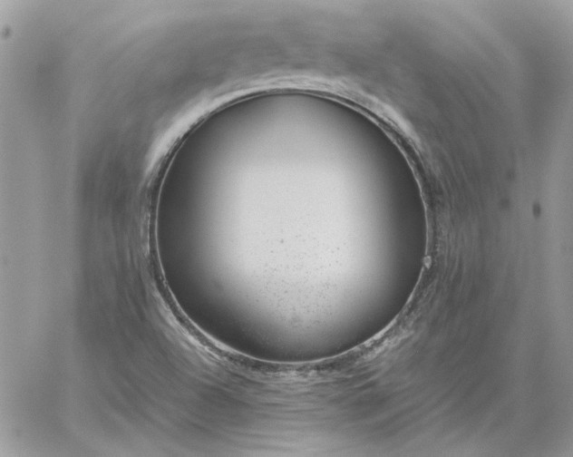 X0000059091504200510172041