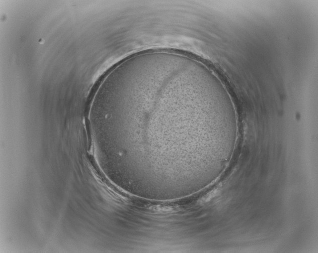 X0000059091505200510172041