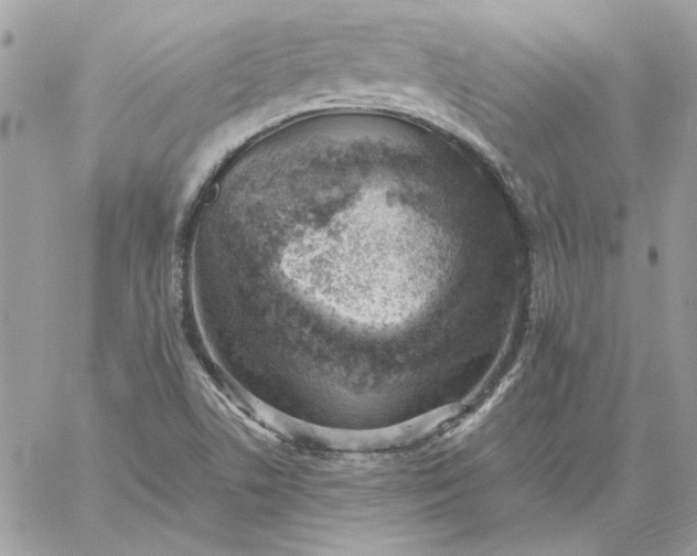 X0000059091506200510172041