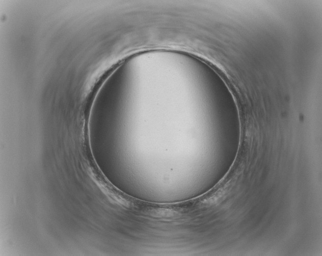 X0000059091507200510172042