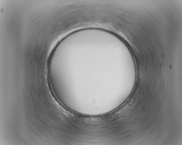 X0000059091508200510172042