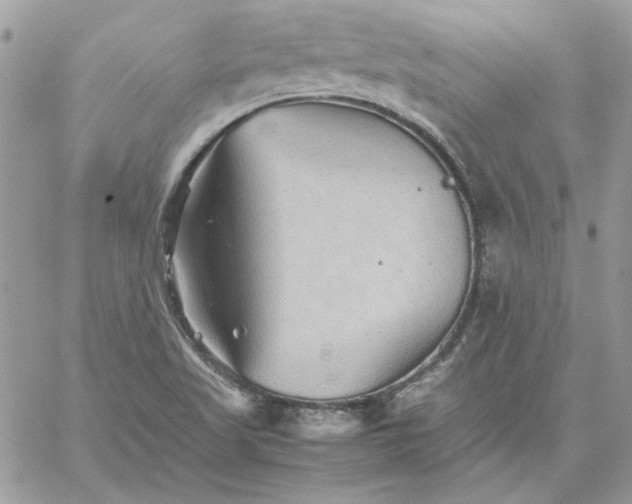 X0000059091509200510172042